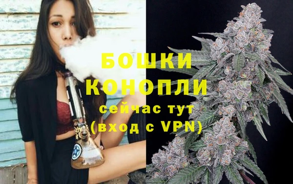 винт Баксан